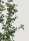 Deluxe Eucalyptus Faux Branch