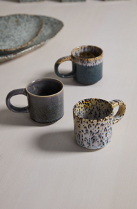 Speckled Glaze Mug