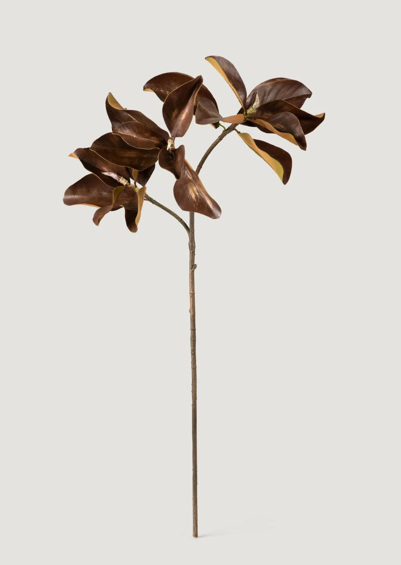 Fake Magnolia Leaf Branch